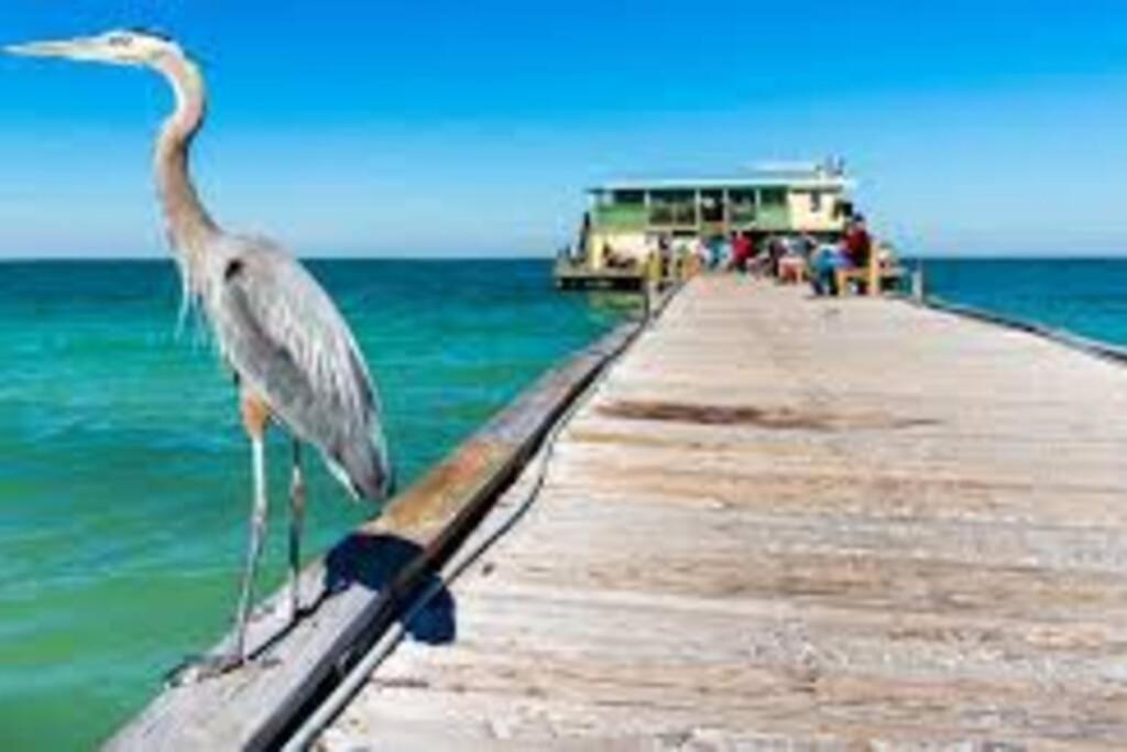 Appartamento Waterview Oasis Retreat, Minutes To Anna Maria Island And Img Bradenton Esterno foto