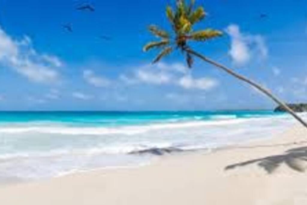 Appartamento Waterview Oasis Retreat, Minutes To Anna Maria Island And Img Bradenton Esterno foto